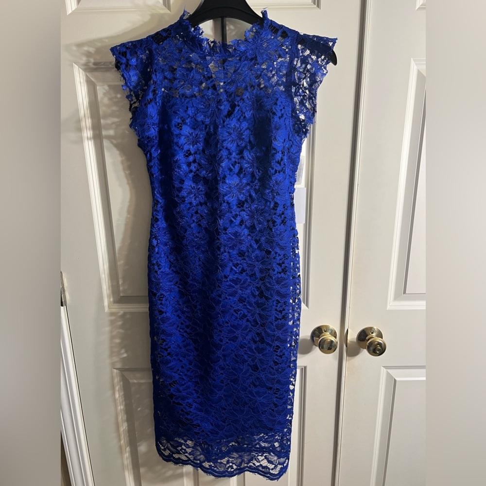 EnFocus Studio lace blue dress